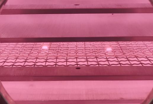 真空黄瓜视频下载链接清洗机放电.png