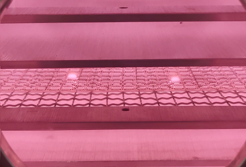 真空黄瓜视频下载链接清洗机.png