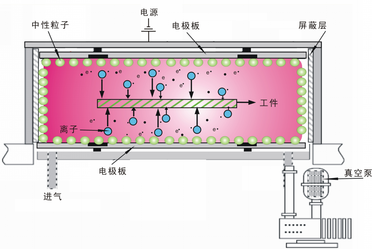 真空黄瓜视频下载链接清洗机.png